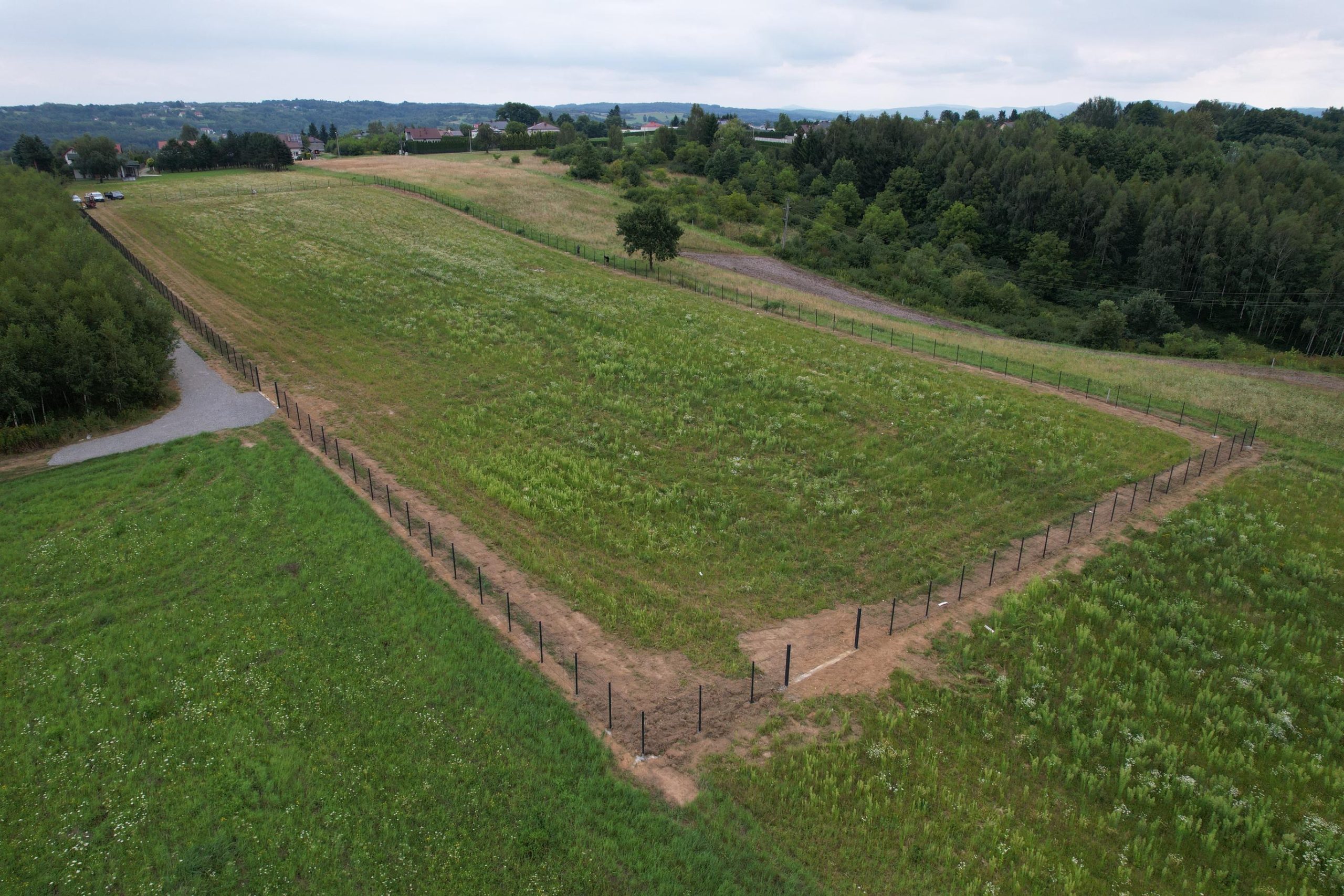DJI_0172.JPG